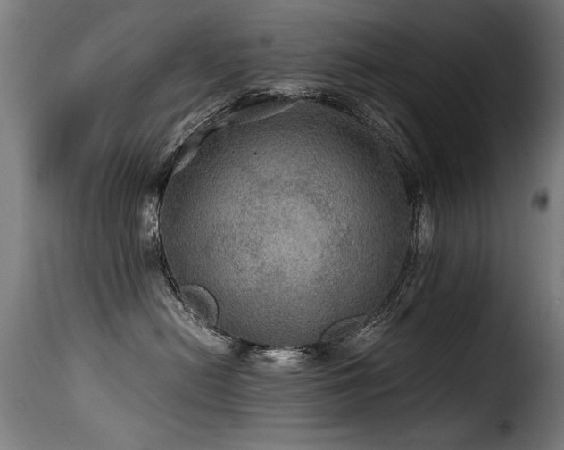 X0000116000478200911191428