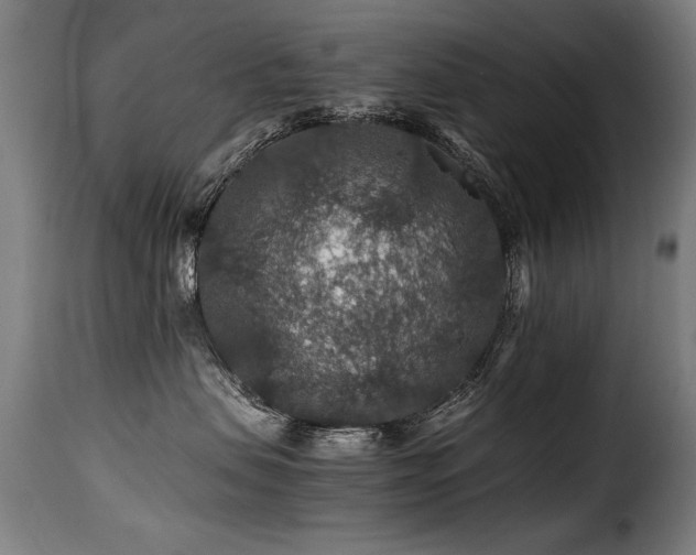 X0000116000479200911191428