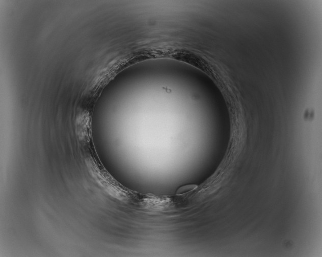 X0000116000480200911191428