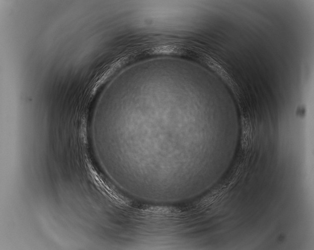 X0000116000482200911191428