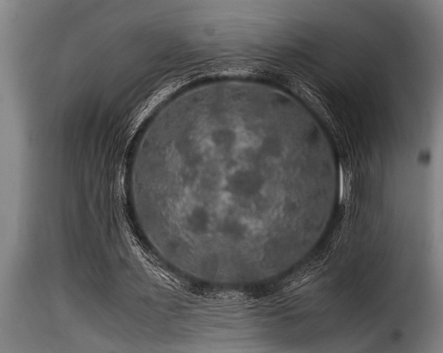 X0000116000483200911191428