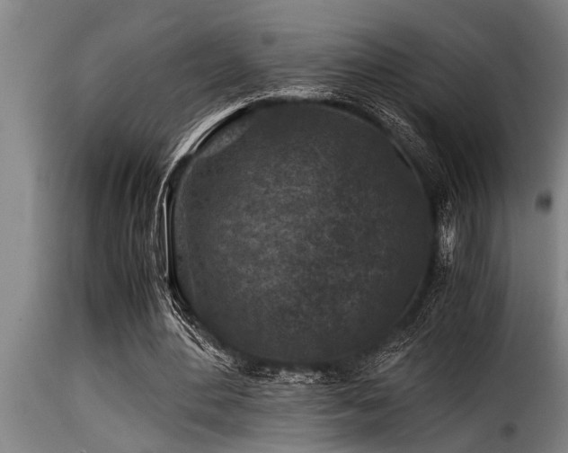 X0000116000484200911191428