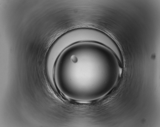 X0000116000485200911191428