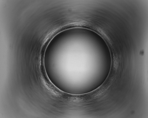 X0000116000486200911191428