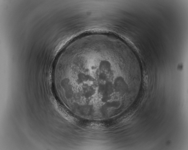 X0000116000487200911191428