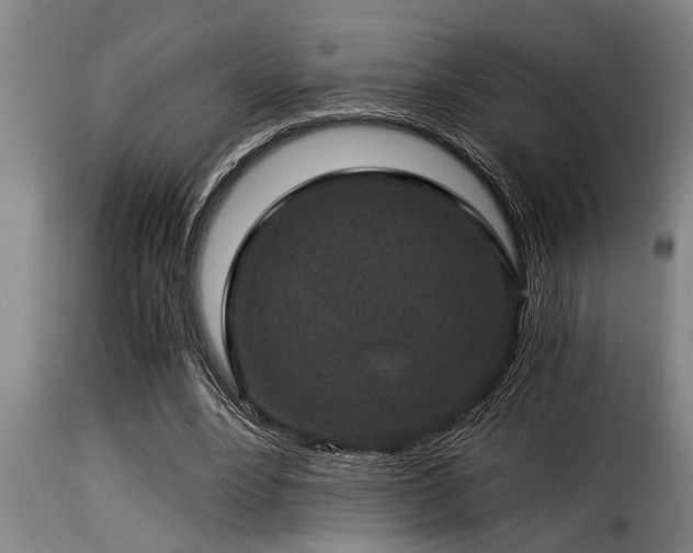 X0000116000488200911191428