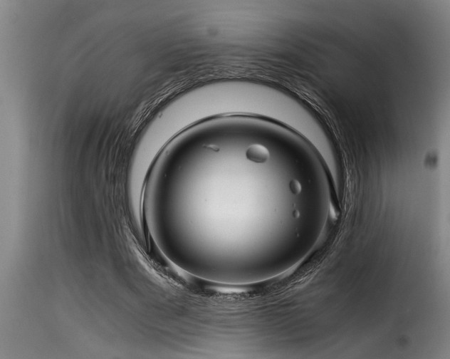 X0000116000489200911191428