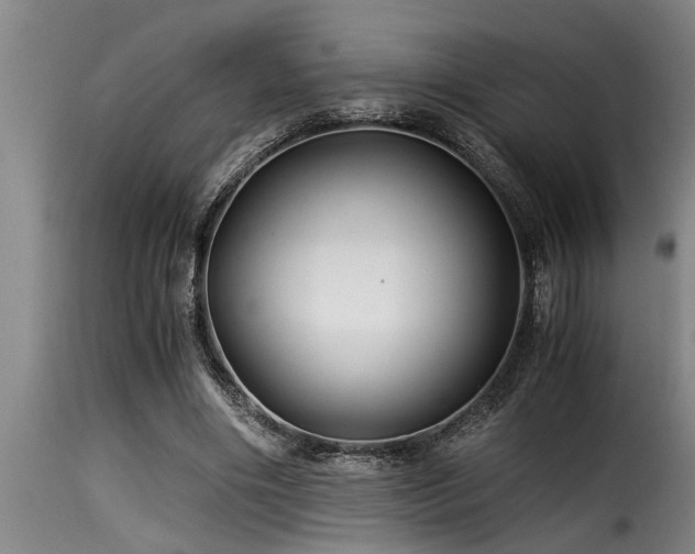 X0000116000490200911191428