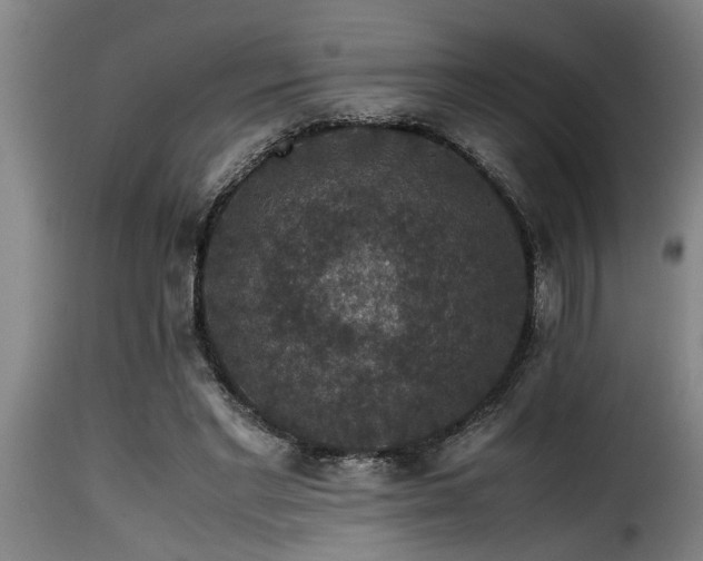 X0000116000493200911191427