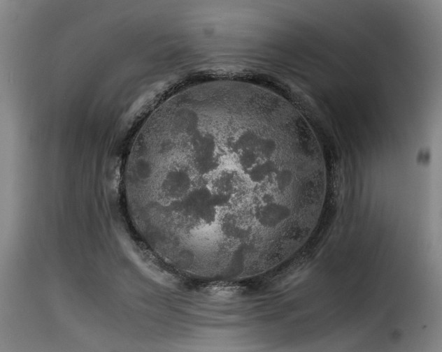 X0000116000495200911191427