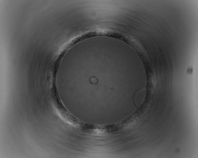 X0000116000496200911191427