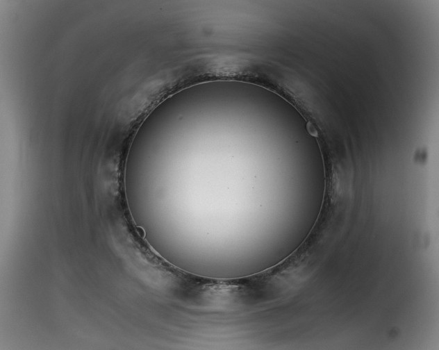 X0000116000497200911191427