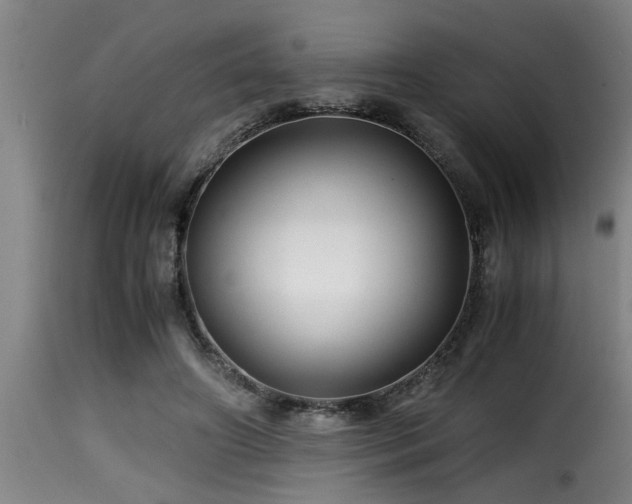 X0000116000498200911191427