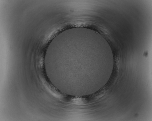 X0000116000499200911191427