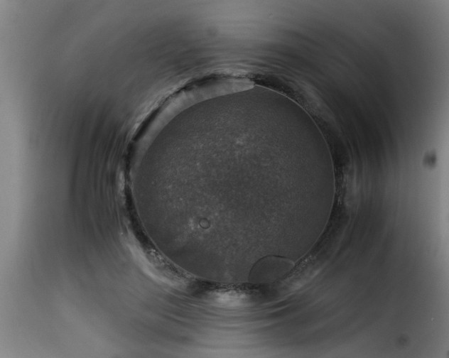 X0000116000500200911191427