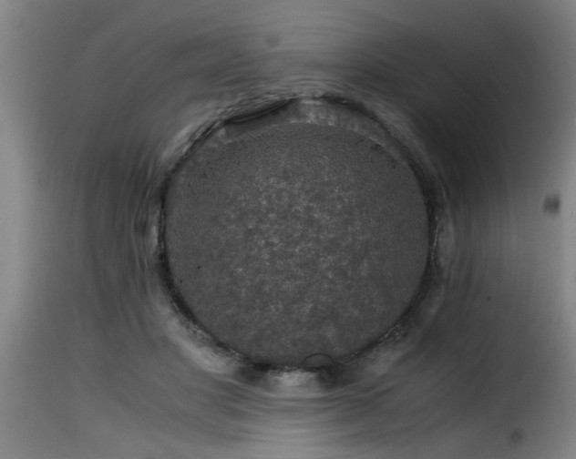 X0000116000501200911191427