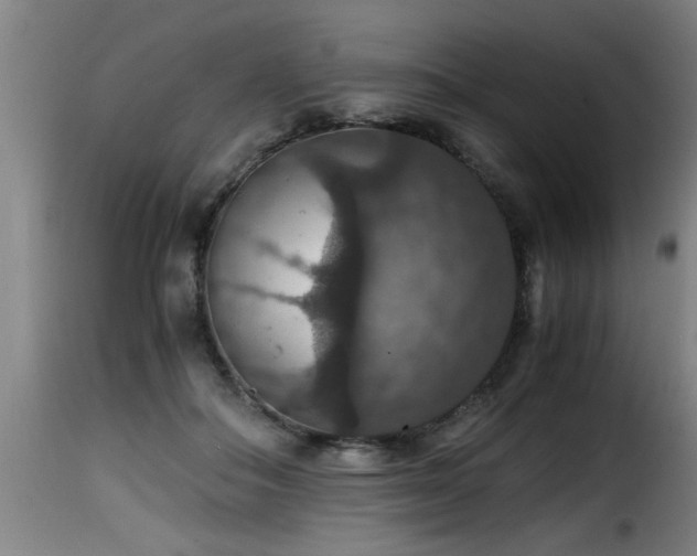 X0000116000506200911191427