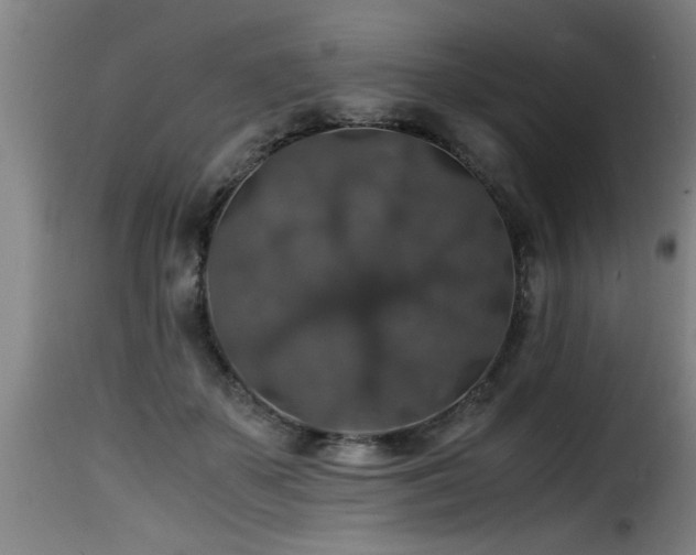 X0000116000507200911191427