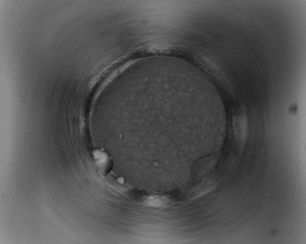 X0000116000508200911191427