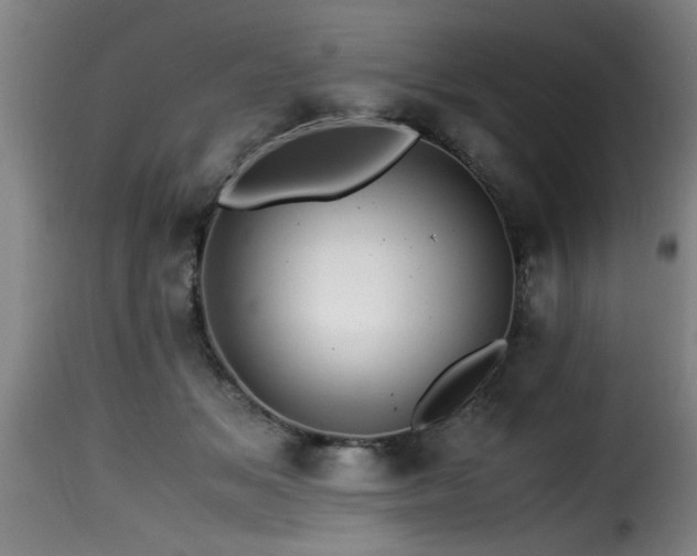 X0000116000509200911191427