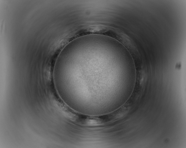 X0000116000510200911191427