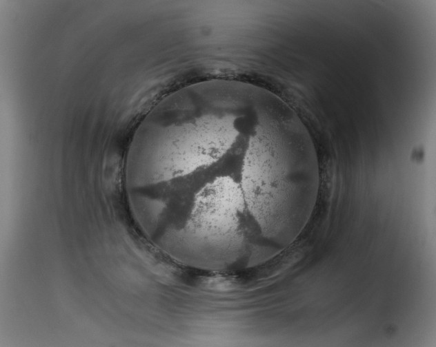 X0000116000511200911191427