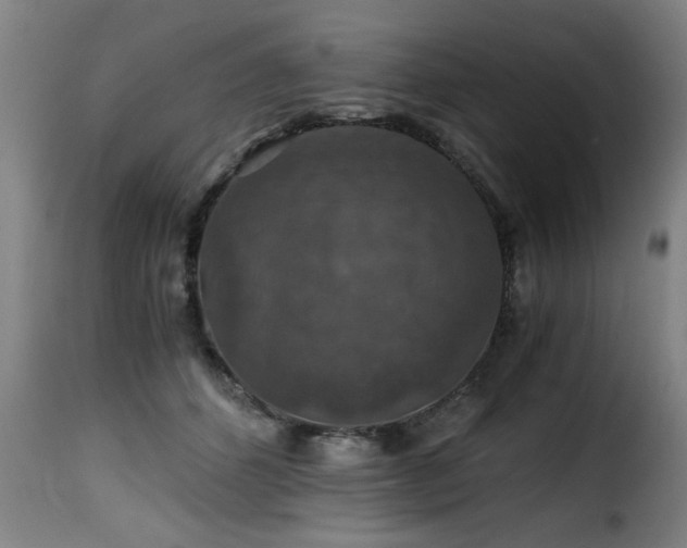 X0000116000512200911191427