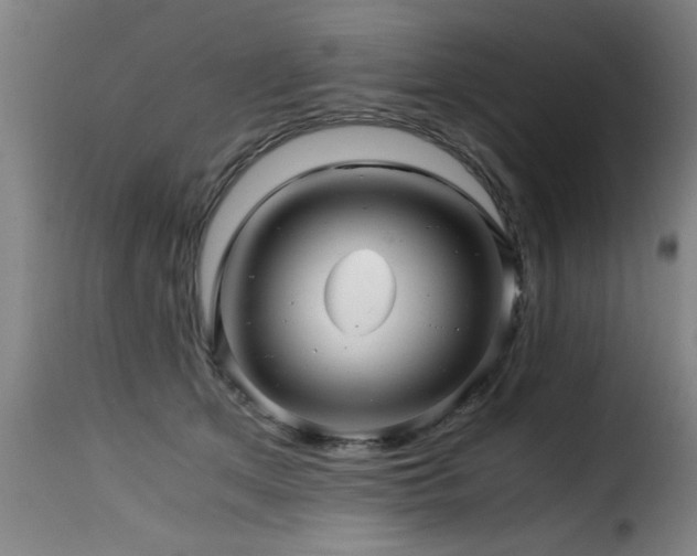 X0000116000513200911191427