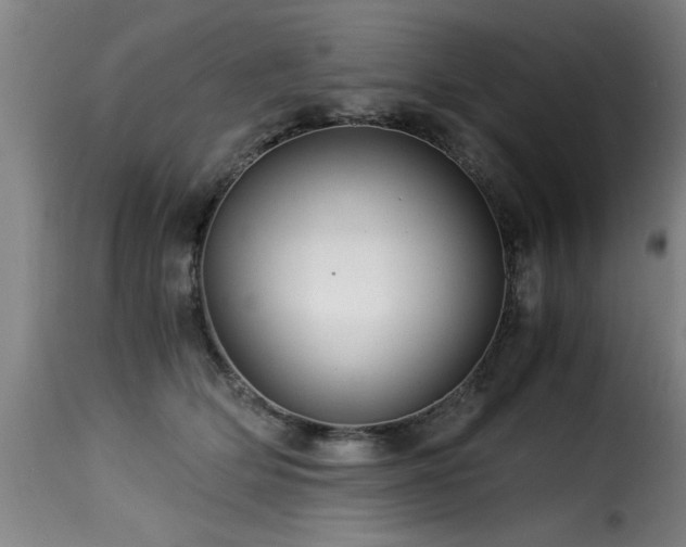 X0000116000514200911191427