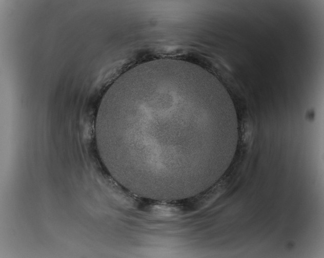 X0000116000515200911191427