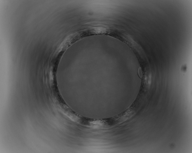 X0000116000516200911191427