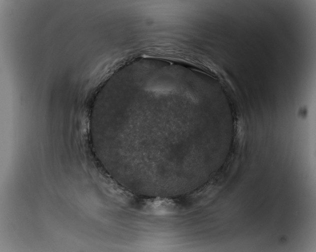 X0000116000517200911191427