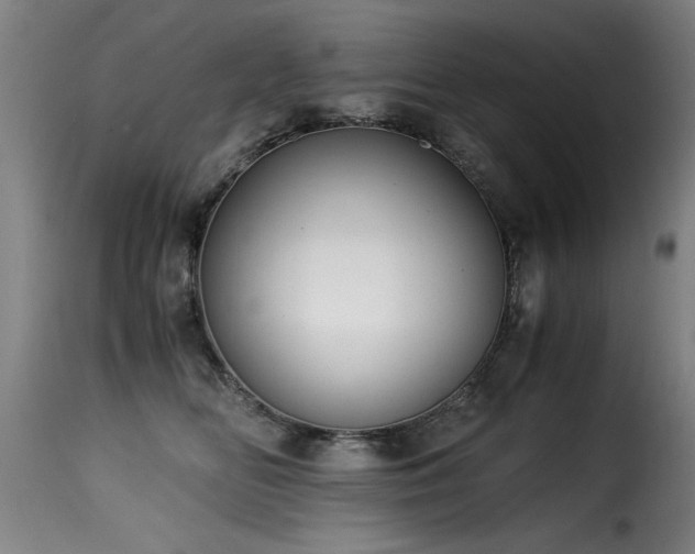 X0000116000518200911191427