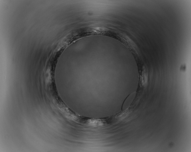 X0000116000520200911191427