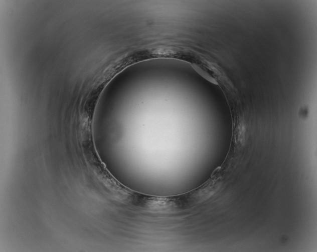 X0000116000521200911191427