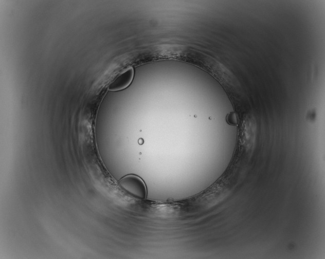 X0000116000522200911191427