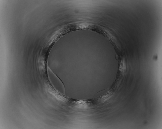 X0000116000524200911191427