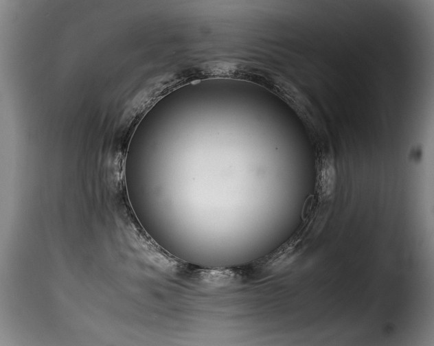 X0000116000525200911191427