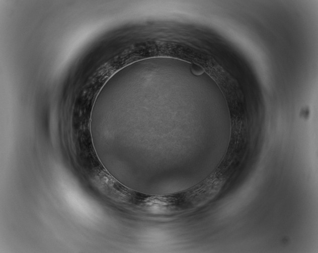 X0000116000526200911191427