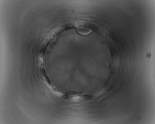 X0000116000527200911191427