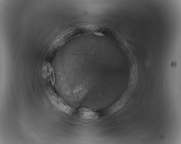 X0000116000528200911191427