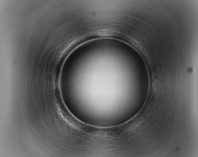 X0000116000530200911191426