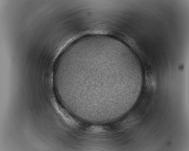 X0000116000534200911191426