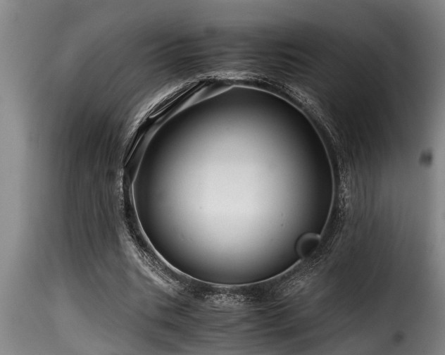 X0000116000535200911191426