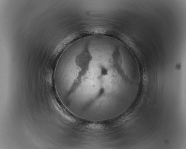 X0000116000537200911191426