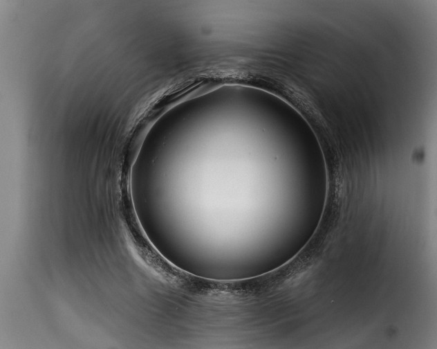 X0000116000538200911191426