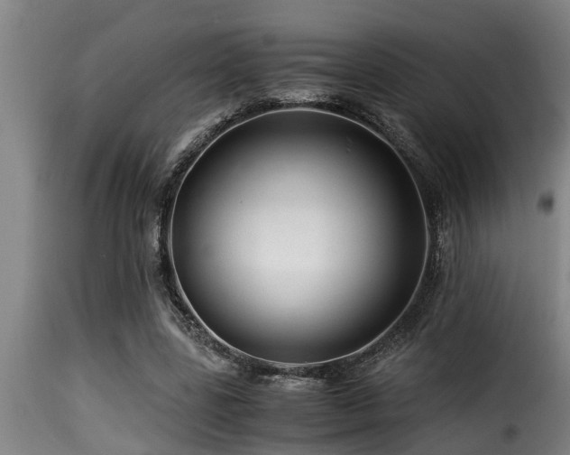 X0000116000539200911191426