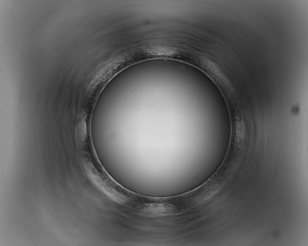 X0000116000541200911191426