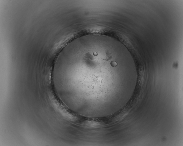 X0000116000545200911191426