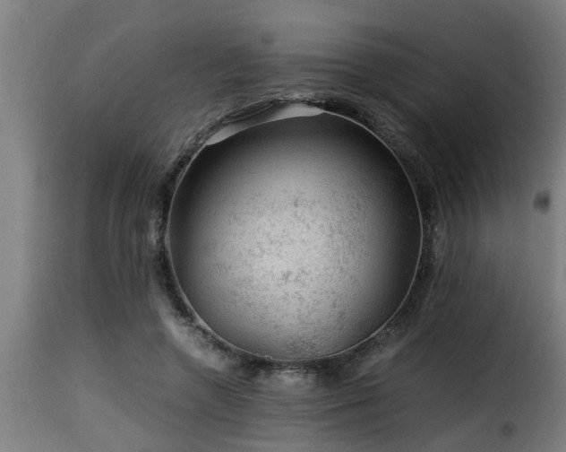 X0000116000546200911191426